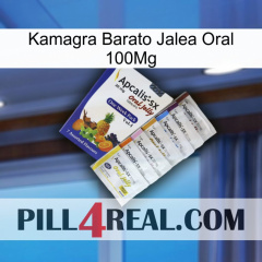 Cheap Kamagra Oral Jelly 100Mg 11